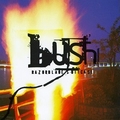 BUSH CD1996